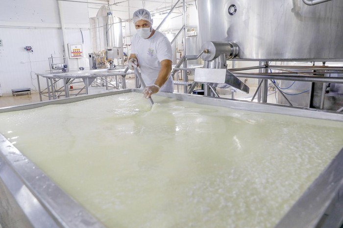 Fiscalização garante segurança nos alimentos produzidos no DF