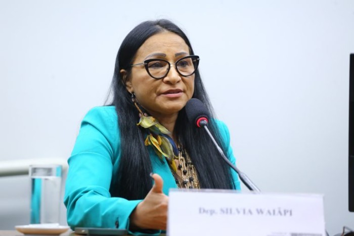 Texto aprovado é substitutivo da relatora Silvia Waiãpi - (Foto: Vinicius Loures/Câmara dos Deputados)