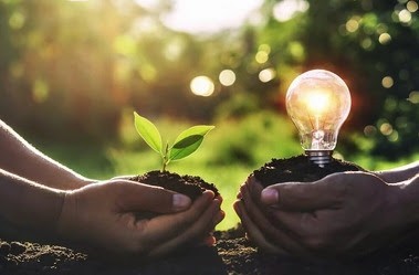 Foto: Reprodução/Internet