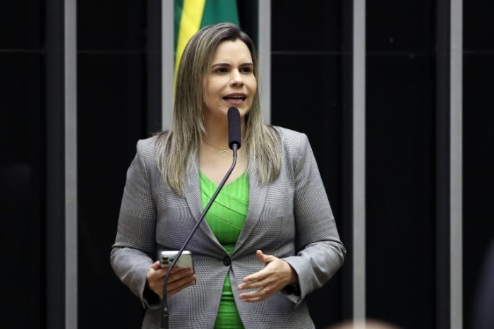 Deputada Clarissa Tércio unificou três textos e recomendou sua aprovação - (Foto: Bruno Spada/Câmara dos Deputados)