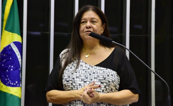 A relatora, deputada Laura Carneiro, recomendou a aprovação da proposta - (Foto: Cleia Viana / Câmara dos Deputados)