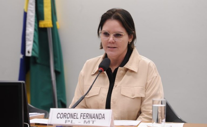 Coronel Fernanda recomendou a aprovação da proposta - (Foto: Renato Araújo/Câmara dos Deputados)