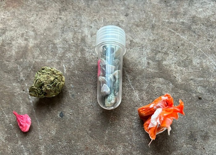 Duas pessoas são presas por tráfico e associação para o tráfico em Dourados