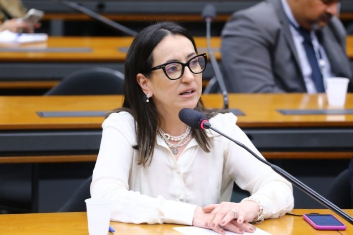 Rosângela Moro, autora da proposta - (Foto: Vinicius Loures/Câmara dos Deputados)