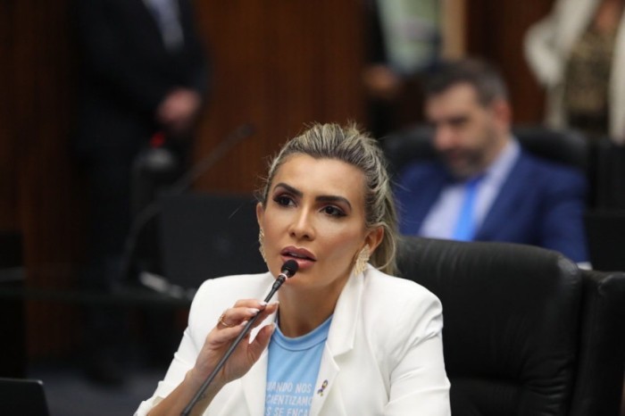 Deputada Flávia Francischini (União) cobra agilidade na aprovação do Código do Autismo