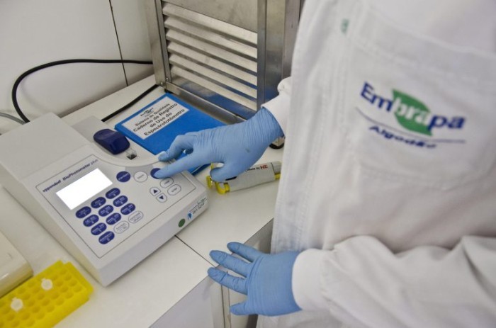 Laboratório da Embrapa - (Foto: Saulo Coelho/Embrapa)