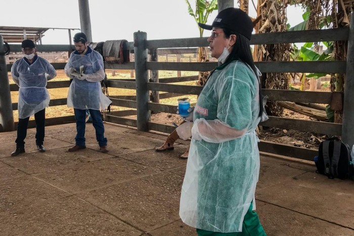 Crédito: Divulgação