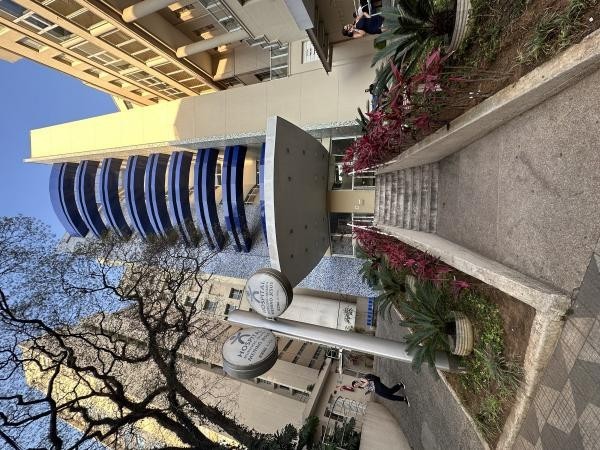 Foto: Reprodução/Câmara de Sorriso - MT