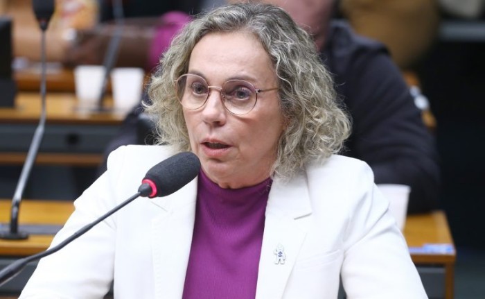 Ana Paula Lima é a autora do projeto - (Foto: Vinicius Loures / Câmara dos Deputados)