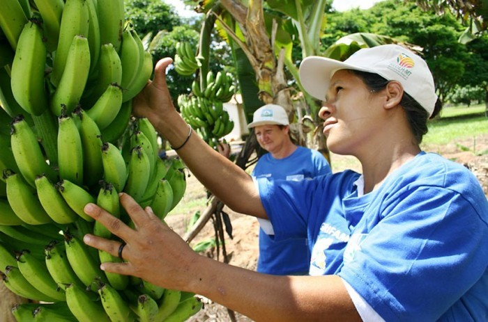 Agricultoras familiares em Mato Grosso: lei inclui as mulheres entre as categorias prioritárias para aquisição de alimentos pelo Pnae - Foto: Guilherme Filho/Secom-MT