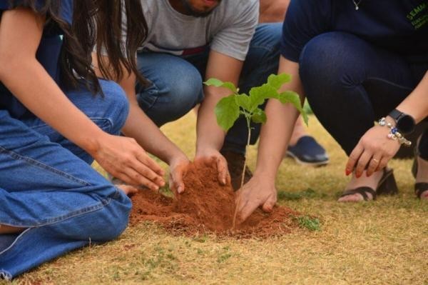 Foto: Reprodução/Câmara de Sorriso - MT