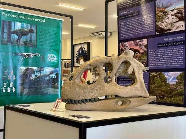 Foto: Reprodução/Prefeitura de Sorriso - MT