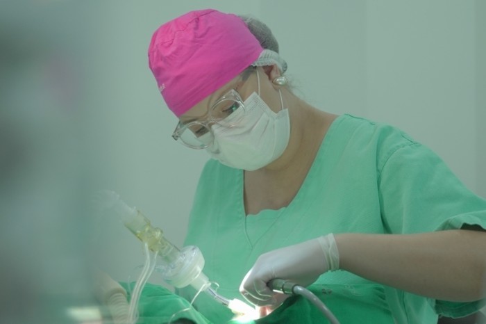 (Foto: Ascom Prefeitura/Anderson Lippi)