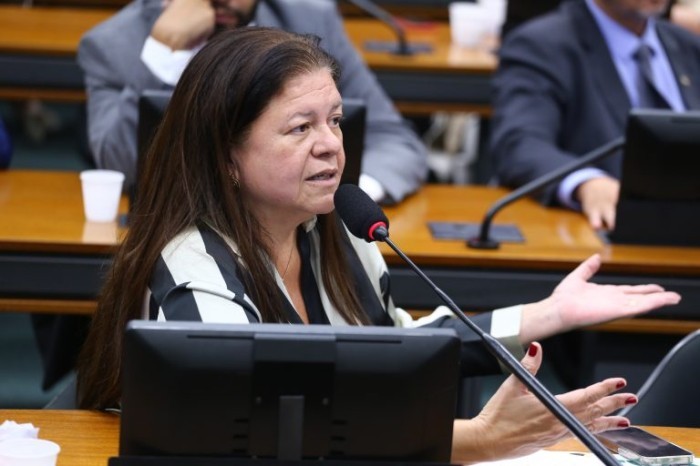 A relatora da proposta, deputada Laura Carneiro - (Foto: Vinicius Loures/Câmara dos Deputados)