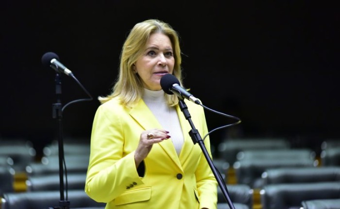 Lêda Borges reuniu vários projetos num só texto - (Foto: Zeca Ribeiro/Câmara dos Deputados)