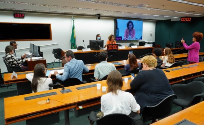 Talíria Petrone preside reunião para debater o projeto de lei - (Foto: Will Shutter / Câmara dos Deputados)