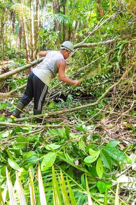 Crédito: Divulgação