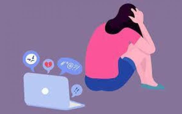 Foto: Reprodução/Câmara de Sorriso - MT