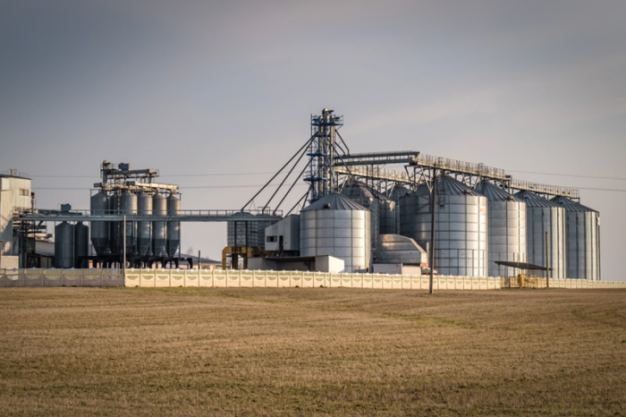 Acervo online, 2023.