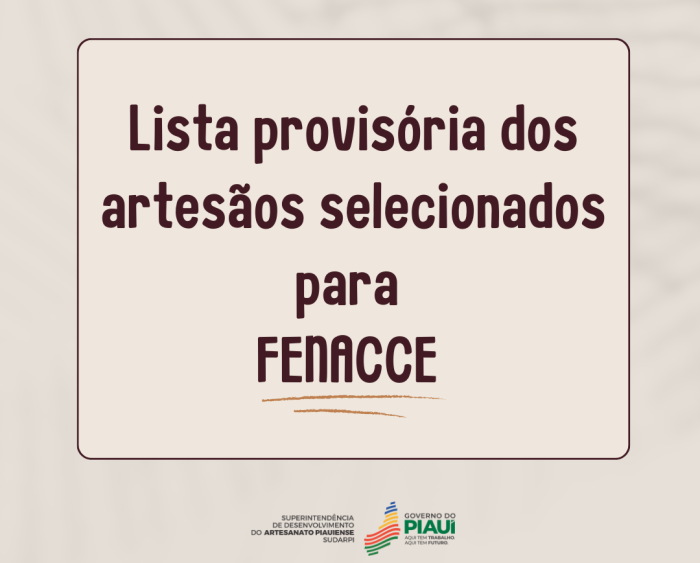 Foto: Reprodução/Secom Piauí