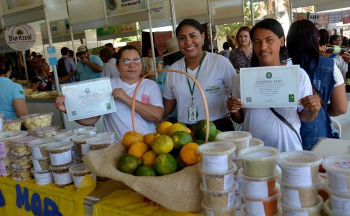 Programas Nacional e Estadual de Compra Direta somam cerca de R$ 11 milhões para investimento na agricultura familiar