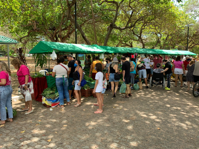 Feira Agroecológica no Parque acontece neste sábado