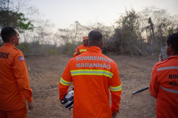 - Maranhão Sem Queimadas reduz incêndios e coloca estado em quarto lugar nacional (Foto: Divulgação)