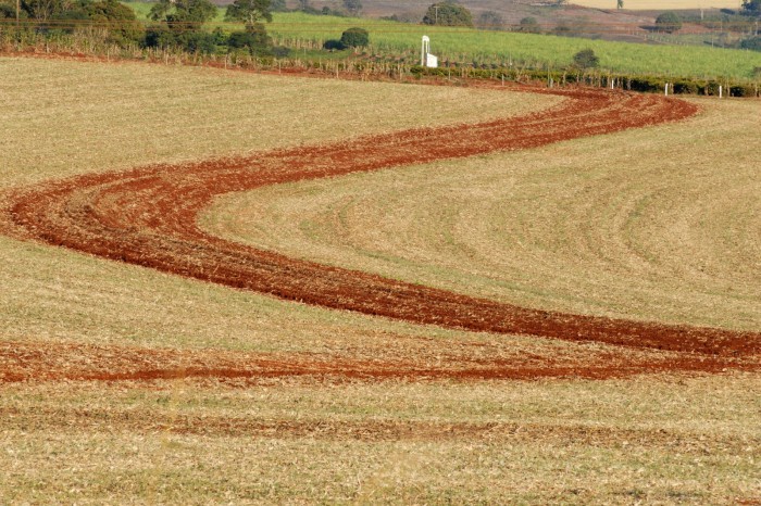 Foto: IDR-PARANÁ