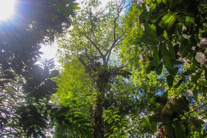 Crédito: Marcelo Seabra / Ag. Pará