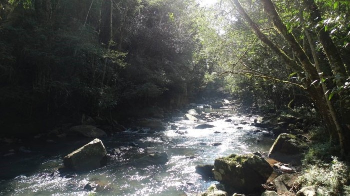 Comitês de bacias hidrográficas do Rio das Antas e do Rio Jacutinga celebram 20 anos em prol dos recursos hídricos