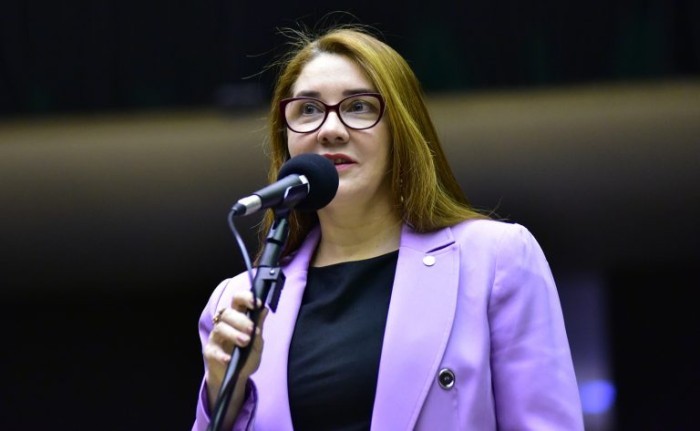 Sonize Barbosa recomendou a aprovação da proposta - (Foto: Zeca Ribeiro/Câmara dos Deputados)