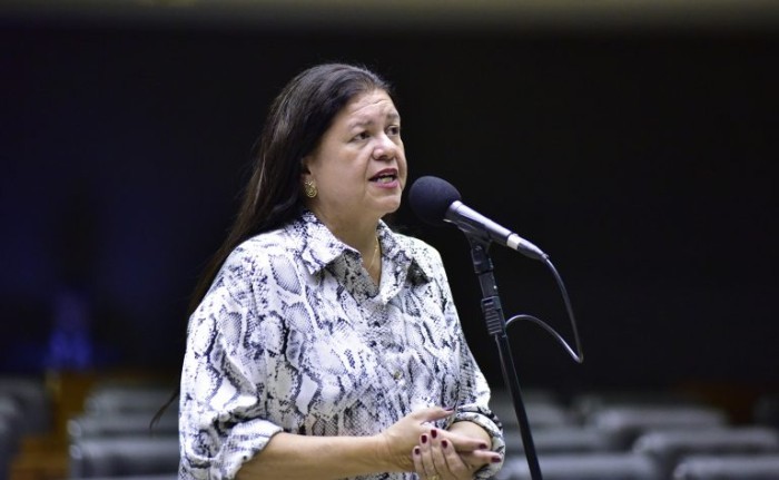 Laura Carneiro defendeu a aprovação do projeto, com ajustes de redação - (Foto: Zeca Ribeiro/Câmara dos Deputados)
