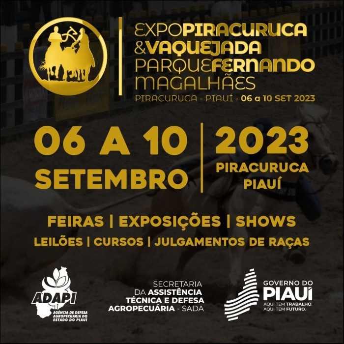 Foto: Reprodução/Secom Piauí