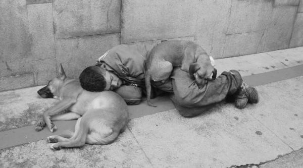 Foto: Reprodução/Câmara de Sorriso - MT