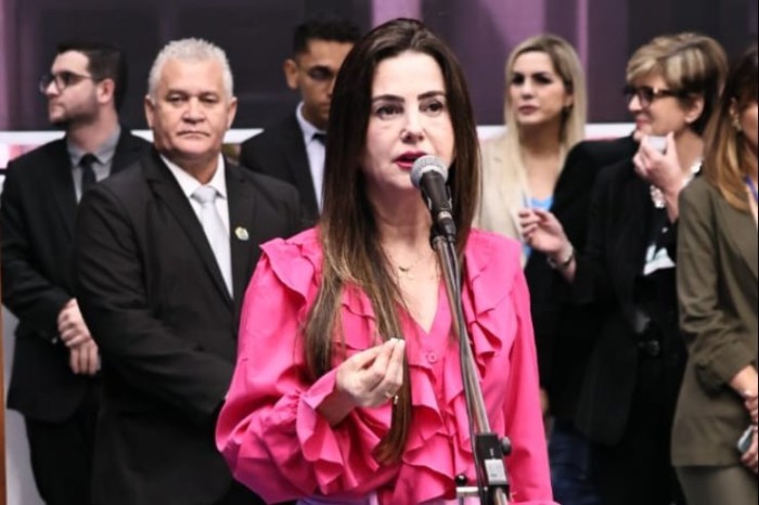 Deputada solicita construção de casas populares para Inocência