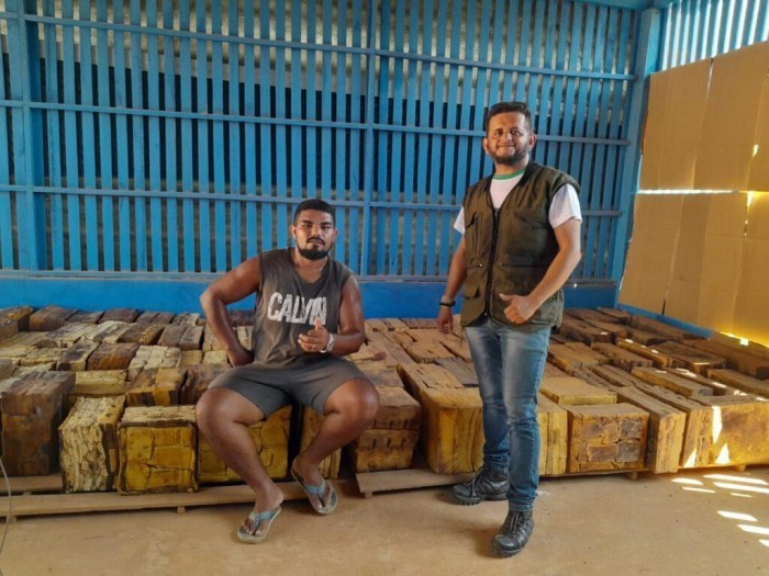 Idam prepara seringueiros para alavancar extração da borracha em Pauini
