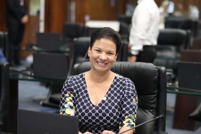Deputada Marli Paulino (SD) indica recursos para 22 municípios paranaenses