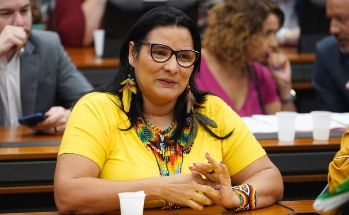 Para Juliana Cardoso, proposta valoriza povos originários e tradicionais - (Foto: Pablo Valadares / Câmara dos Deputados)