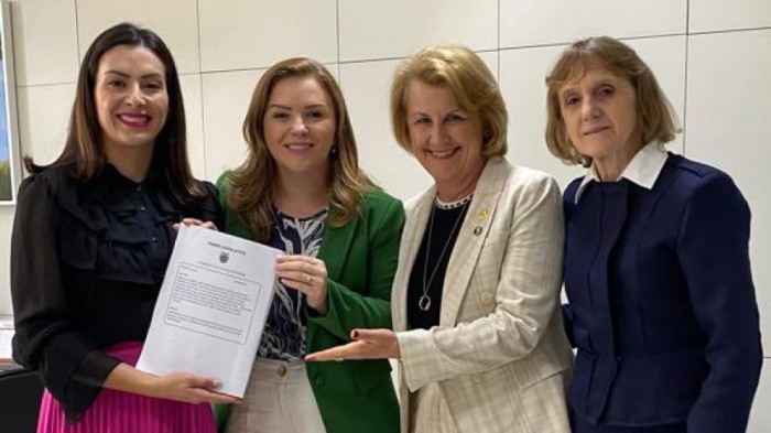 Bancada Feminina entrega Código de Defesa dos Direitos da Mulher à secretária Leandre dal Ponte