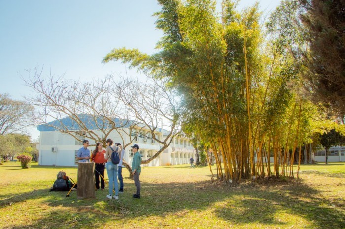Foto: Reprodução/UEPG