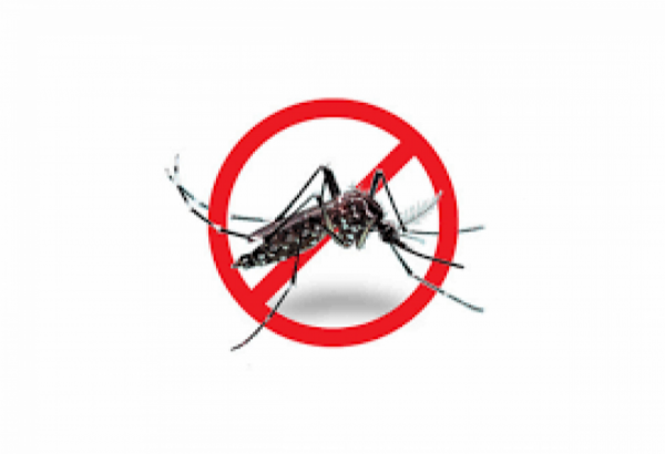 Foto: Reprodução/Prefeitura de Sorriso - MT