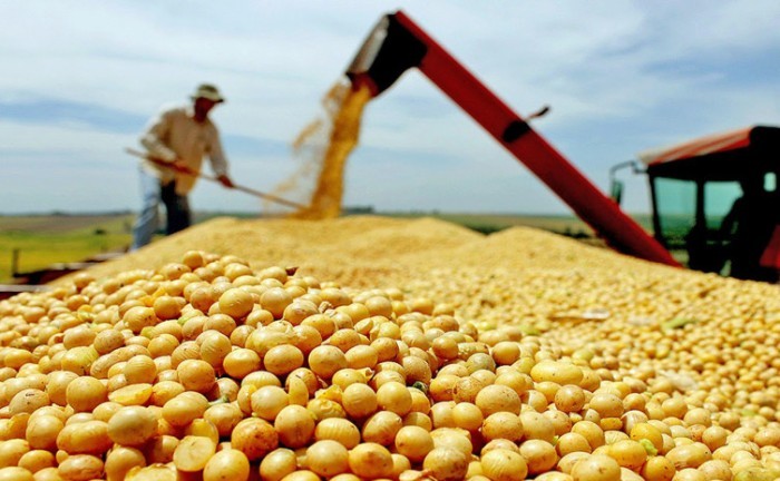 Governo do Tocantins fomenta agronegócio e Estado se torna o maior produtor de grãos da região Norte