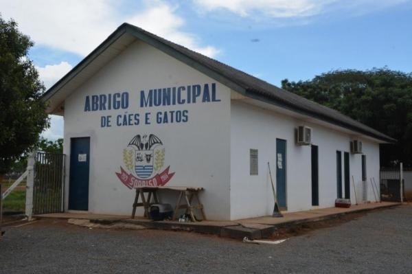 Foto: Reprodução/Câmara de Sorriso - MT