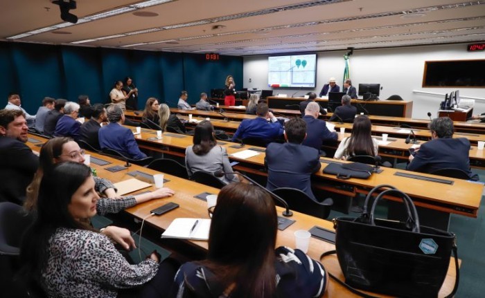 Audiência pública da Comissão de Minas e Energia para debater o tema - (Foto: Vinicius Loures/Câmara dos Deputados)
