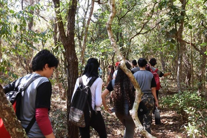 Projeto Cerrado Vivo leva estudantes para aula especial no Jardim Botânico