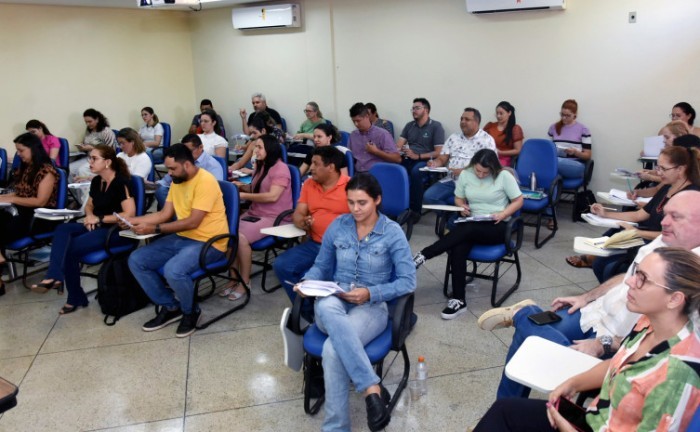 SES-TO capacita técnicos com o programa de treinamento em Epidemiologia Aplicada aos Serviços do Sistema Único de Saúde