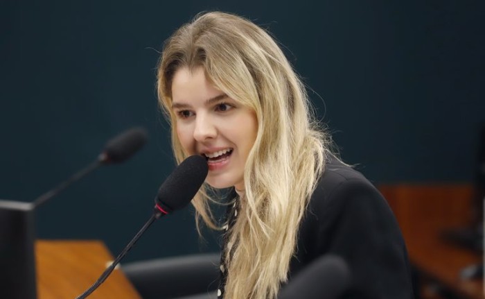 Texto aprovado é substitutivo da relatora, Luisa Canziani - (Foto: Gilmar Félix / Câmara dos Deputados)