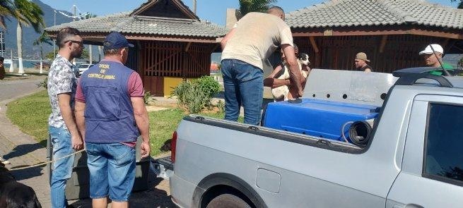 Foto: Reprodução/Prefeitura de São Sebastião - SP