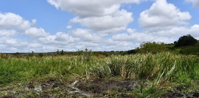 Prevenção e limpeza: Prefeitura realiza desassoreamento dos rios do município