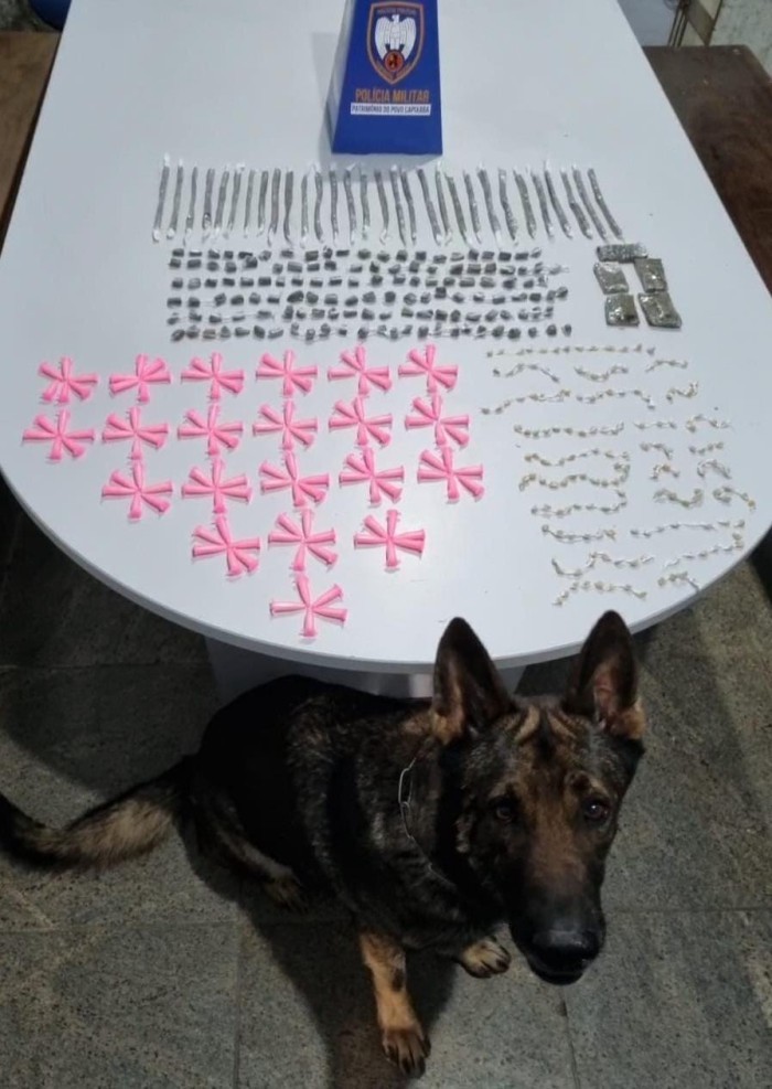 Foto: Reprodução/Polícia Militar - ES